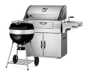 Napoleon Holzkohle PRO Grill